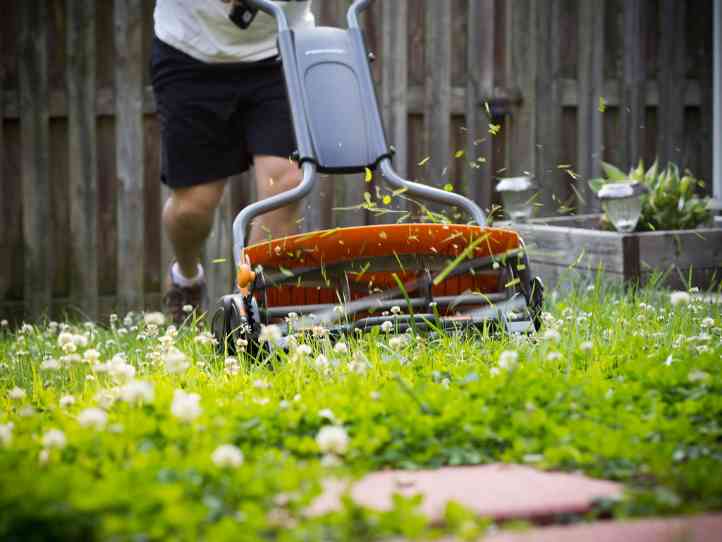 7 finest cylinder mowers on your garden in 2020