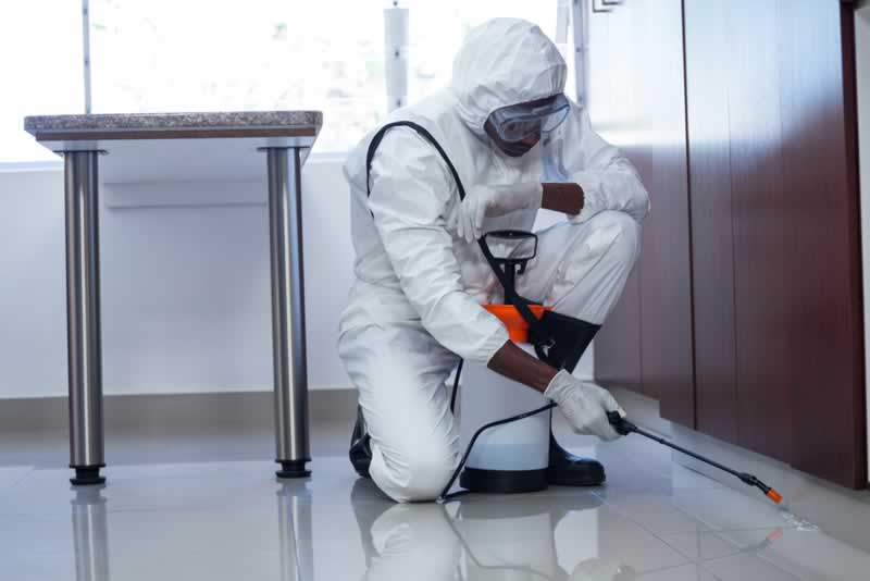 The significance of hiring a pest management skilled to the house