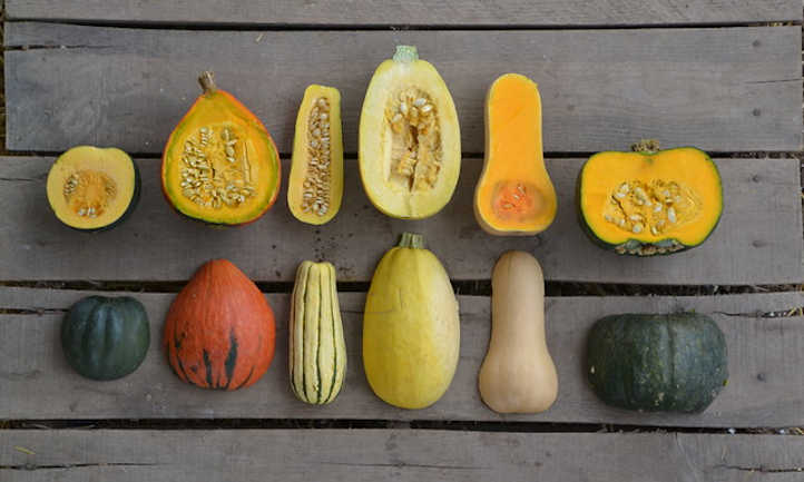 Rising winter pumpkin: the favourite meals of autumn