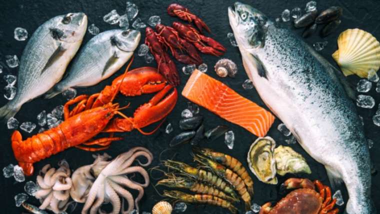 The Sydney Seafood Faculty provides digital cooking courses