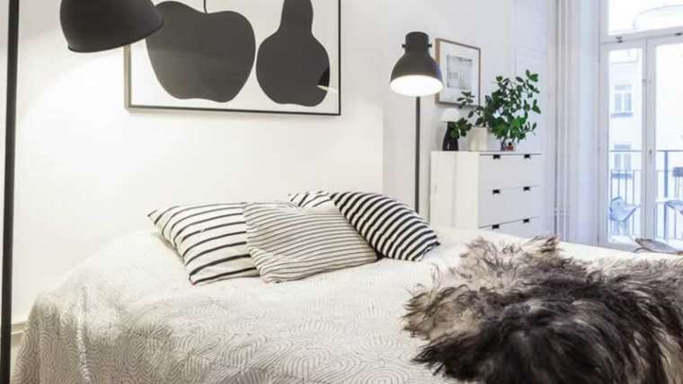 Prime 5 methods to brighten up a boring bed room