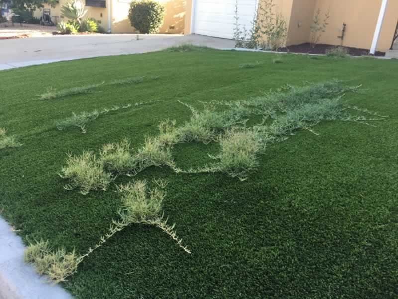 What ought to I do if my synthetic turf is previous?