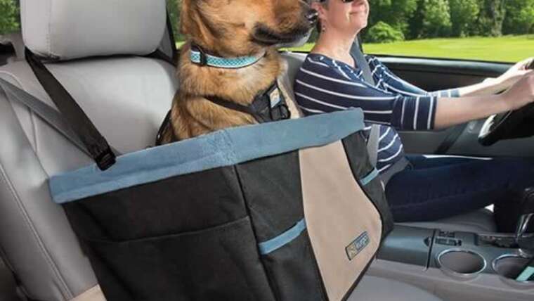 Why you solely have to purchase a top quality automobile seat in your canine