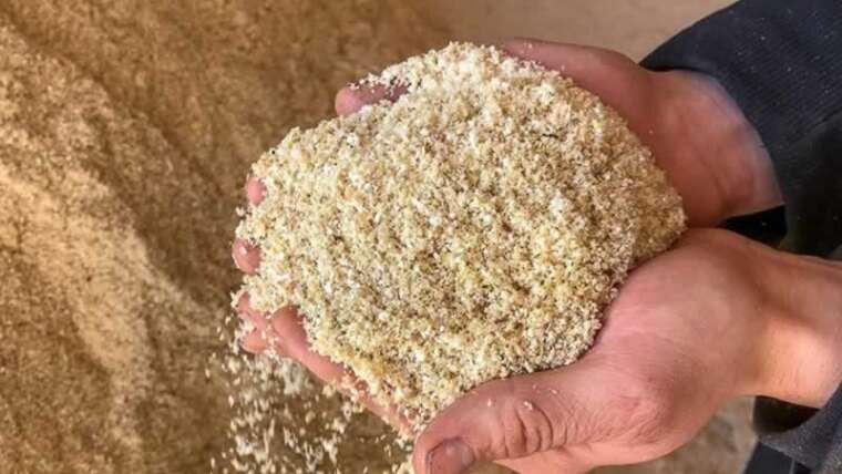 5 sensible methods to recycle sawdust