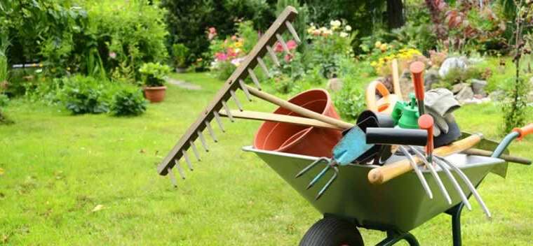 eight important instruments that can make your gardening expertise simpler and extra fulfilling