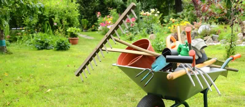 eight important instruments that can make your gardening expertise simpler and extra fulfilling