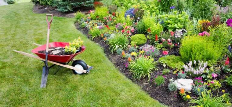 Gardening Guidelines: Giving Your Backyard The Love It Deserves?