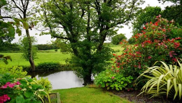 Flip your backyard right into a spring paradise