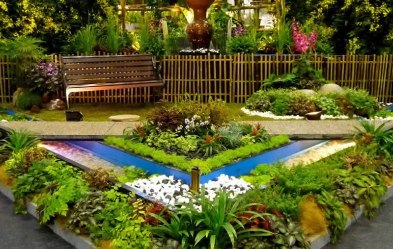 Backyard Designs: Ideas & Directions