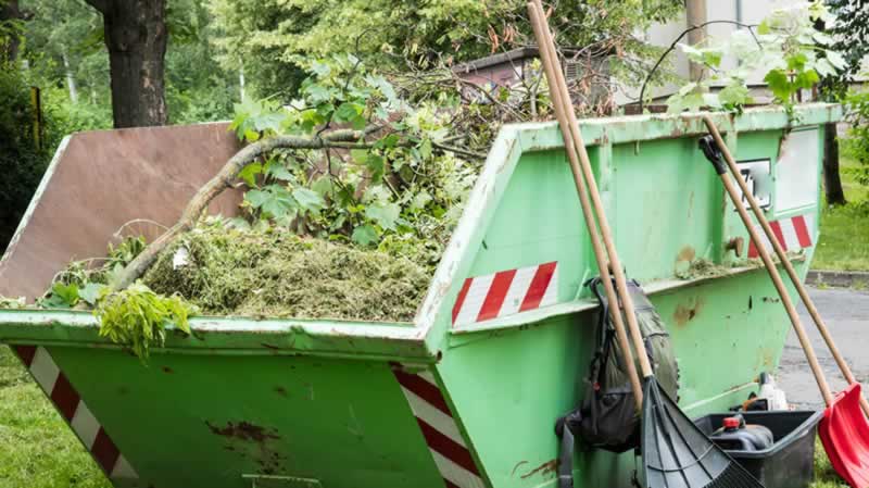 Why Skip Rent Service is Nice for Backyard Cleansing