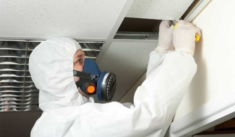 four Issues To Look For When Hiring An Asbestos Inspection Firm