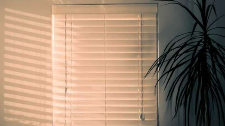 Professional ideas for getting blinds