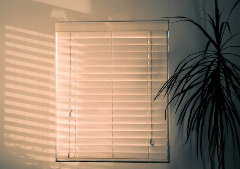 Professional ideas for getting blinds