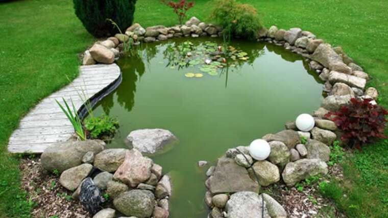 Easy methods to construct your personal backyard pond