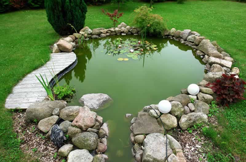 Easy methods to construct your personal backyard pond