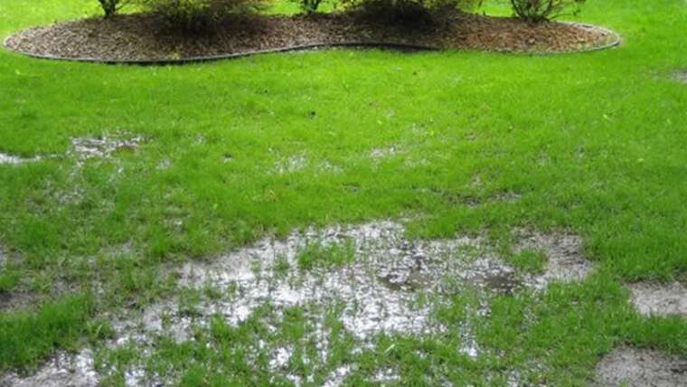 How are you going to enhance the drainage of your garden?