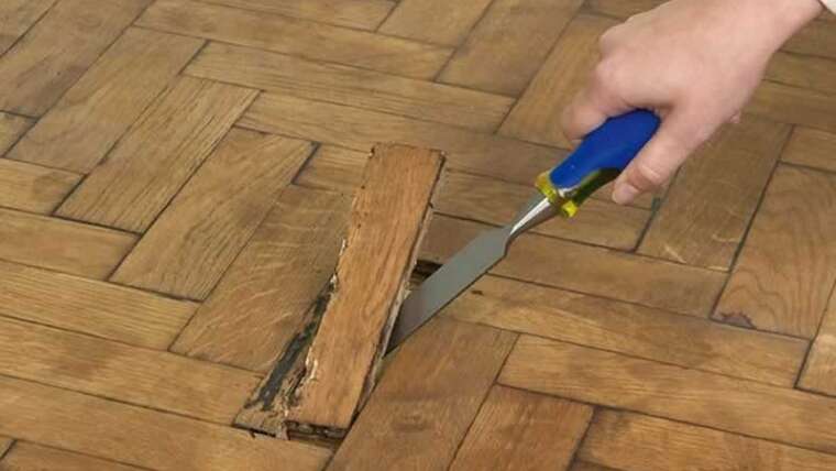 DIY Information: How one can Repair Your Wooden Flooring Like a Professional