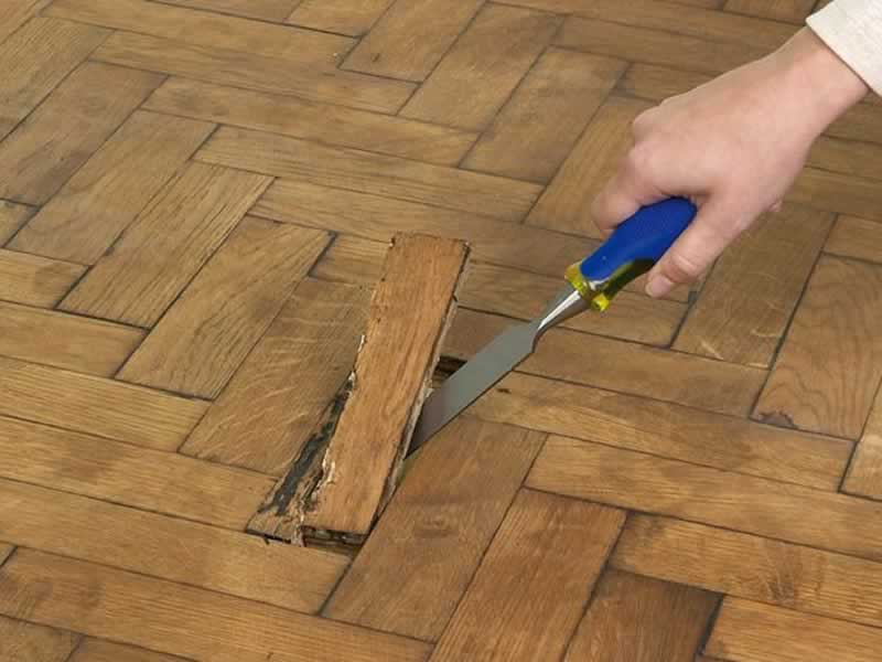 DIY Information: How one can Repair Your Wooden Flooring Like a Professional