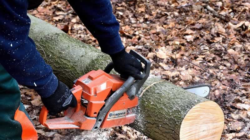 Utilizing a Chainsaw: Final Information