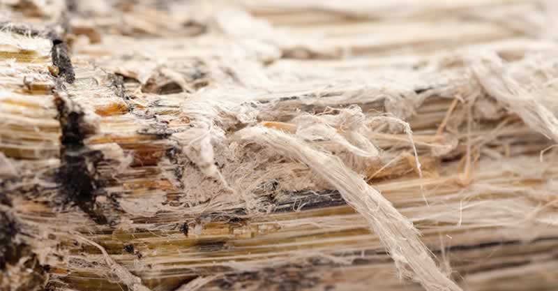 The historical past of asbestos