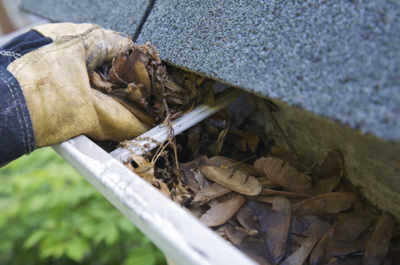 5 good causes to maintain your gutters clear