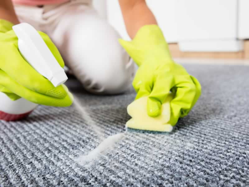 The easiest way to scrub your carpets and preserve them trying new