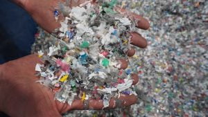 Kellogg & # 39; s will assist Aussies study comfortable plastics