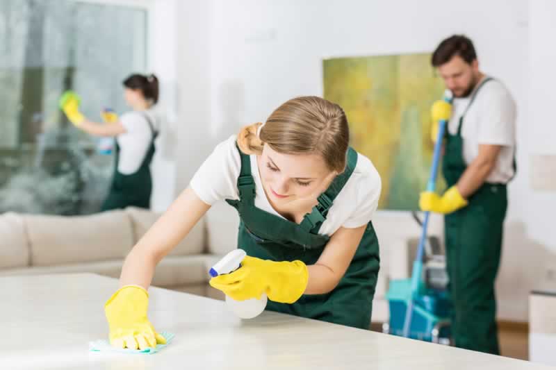 Cleansing vs. Disinfection: When to do handicrafts and when to rent a specialist