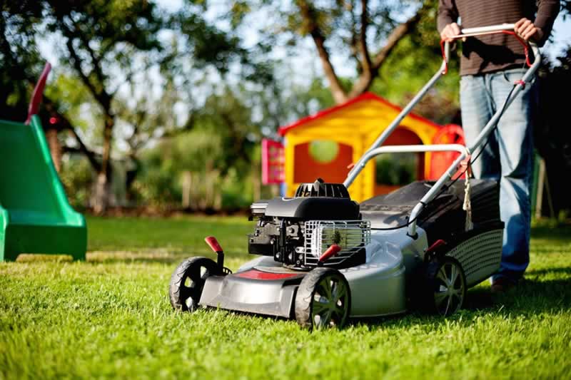 Options To Look For When Shopping for A Garden Mower