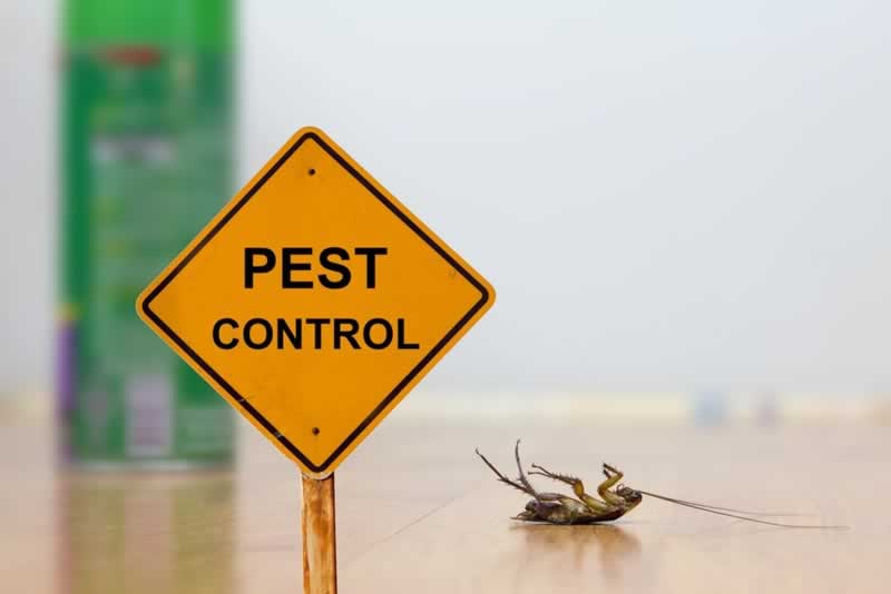 Efficient pest management strategies