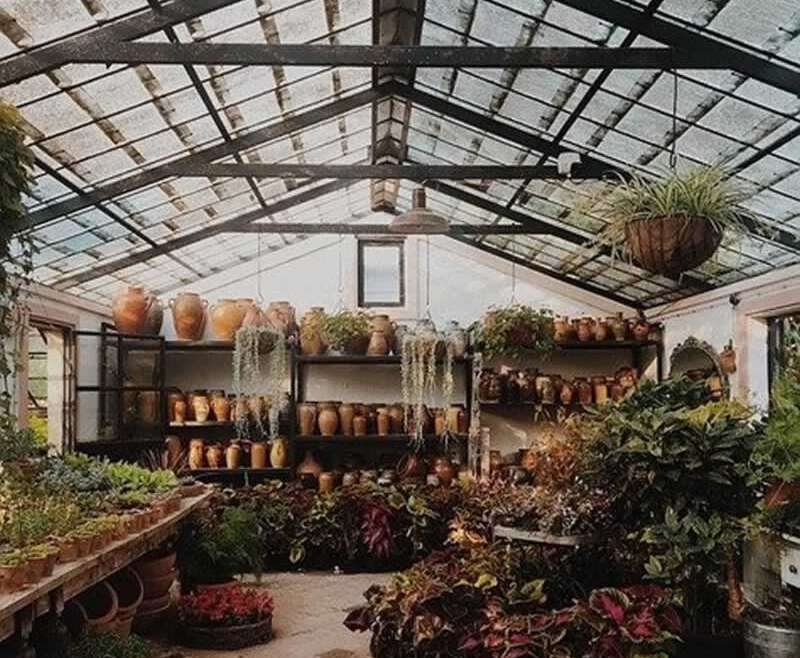 Ideas for creating the proper greenhouse