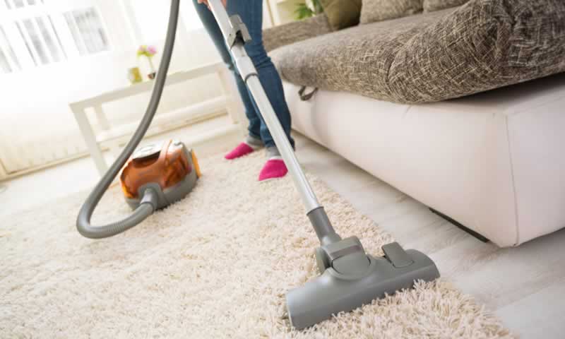 Carpet cleansing suggestions