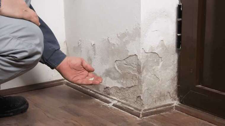 spot water injury in your house