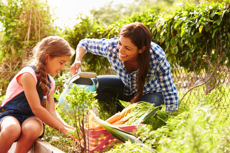 How to achieve success as a first-time gardener