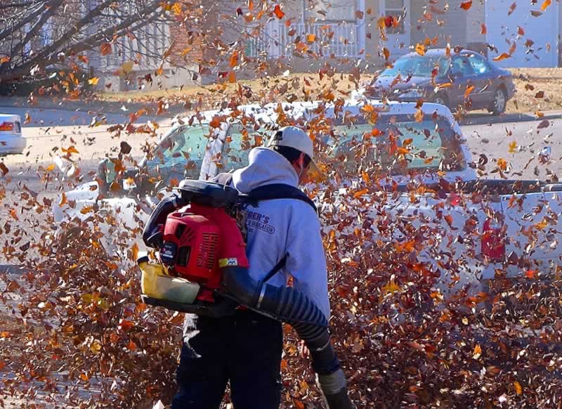 Are Leaf Blowers a Risk to Your Automobile?