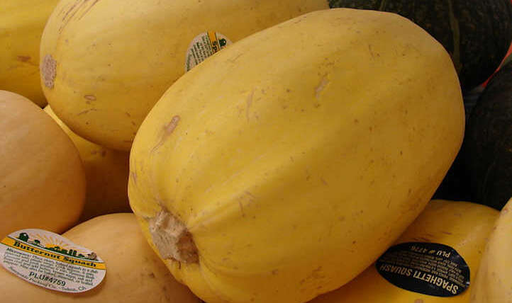 When to choose spaghetti squash for perfection