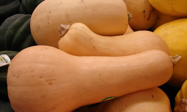 When to reap butternut squash and the way to retailer it