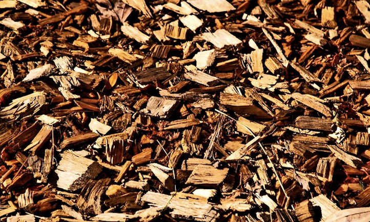 Wooden chip mulch: the whole lot you must know