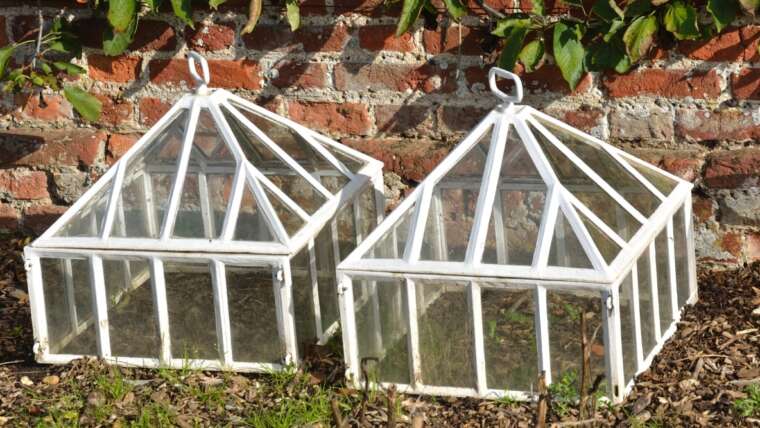 The best way to Use Cloches and Critter Cages to Defend Younger Crops