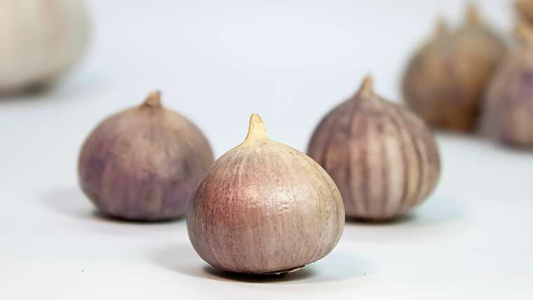 13 Forms of Garlic to Plant This Fall