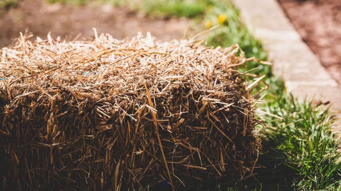 11 Suggestions for Beginning a Straw Bale Backyard