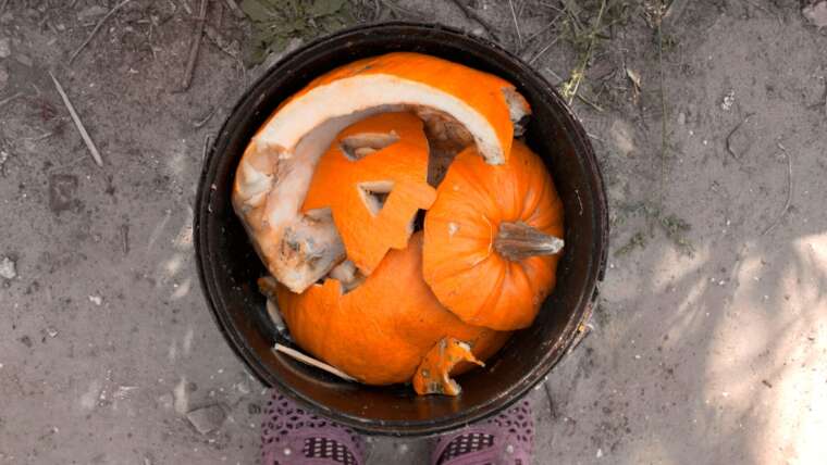 How you can Reuse Your Halloween Jack O’ Lanterns