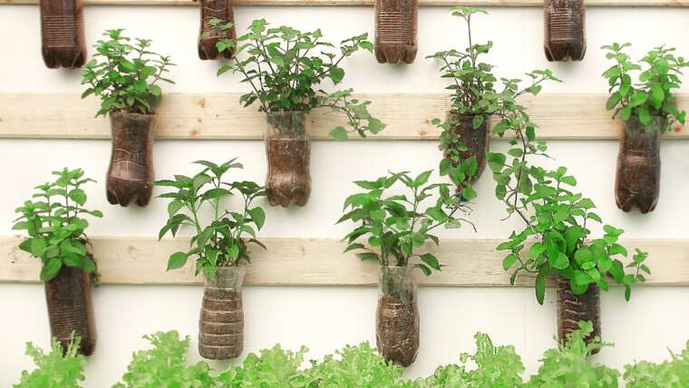 Create a Vertical Herb Backyard in Your Kitchen