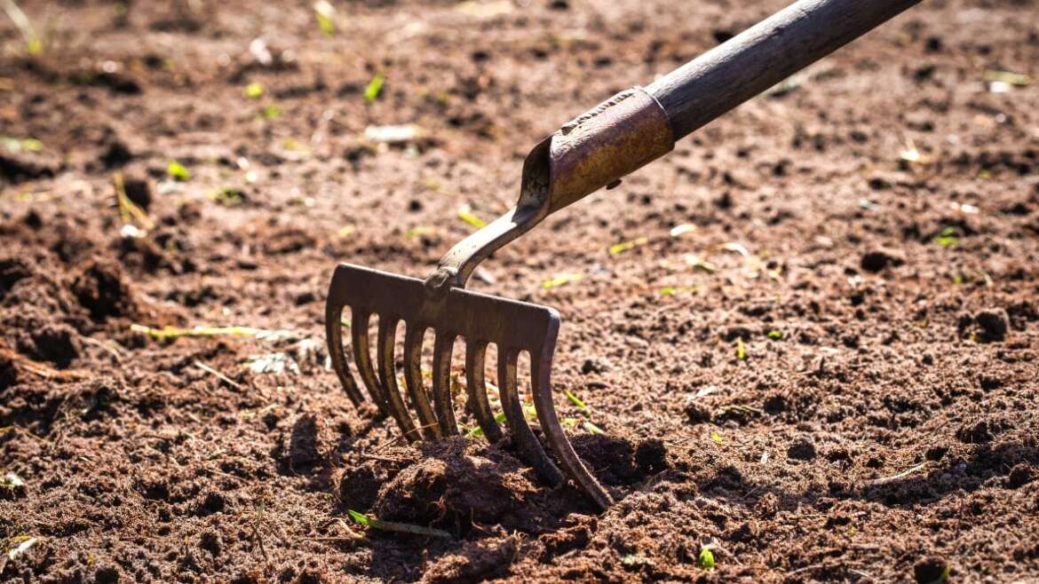How and When to Aerate Your Soil: Enhance Compacted Soil