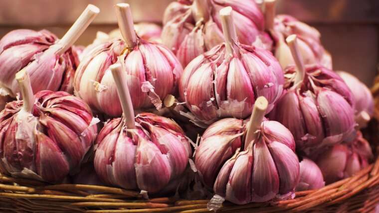 Softneck vs. Hardneck Garlic: What’s the Distinction?