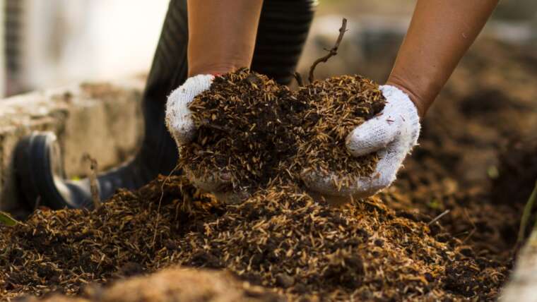 Compost 101: The best way to Begin Composting for Freshmen