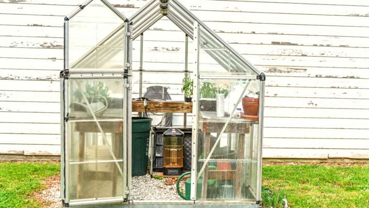 Why and The way to Use an Unheated Greenhouse