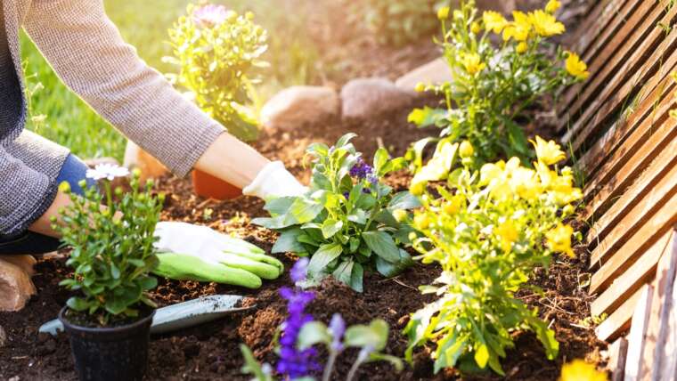 An Important Information to Solar Publicity for Gardeners