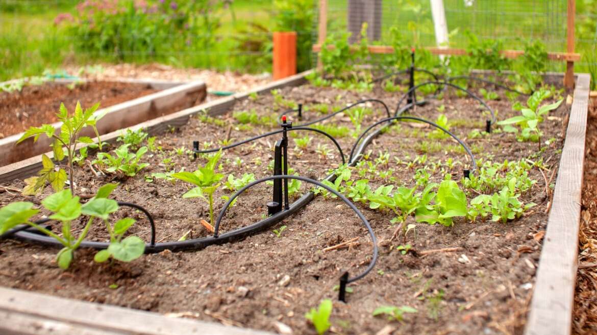 7 Straightforward Methods to Improve Your Backyard this Spring