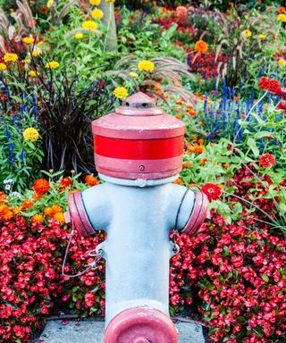 Landscaping Round A Fireplace Hydrant: Landscaping Ideas And Security Concerns